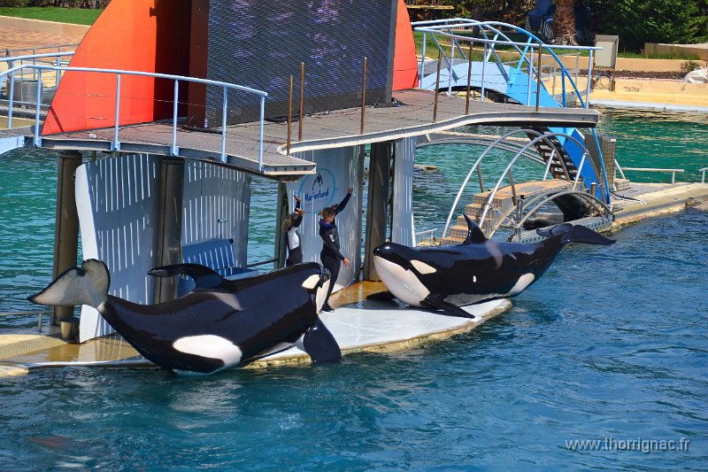 Marineland aout 2014 79.JPG - Marineland - Parc d'attractions aquatiques - Antibes - Août 2014
